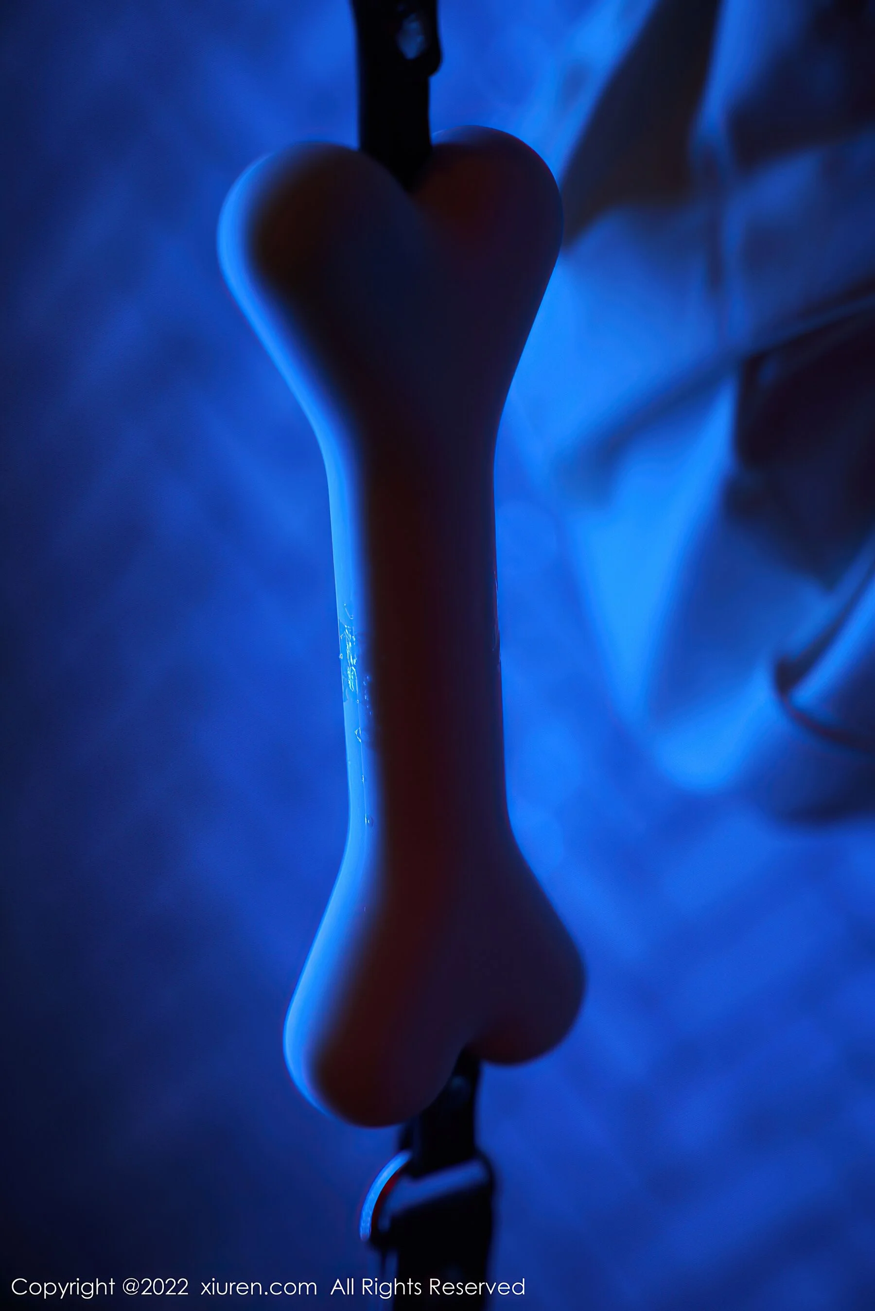 仓井优香 - Photo 64