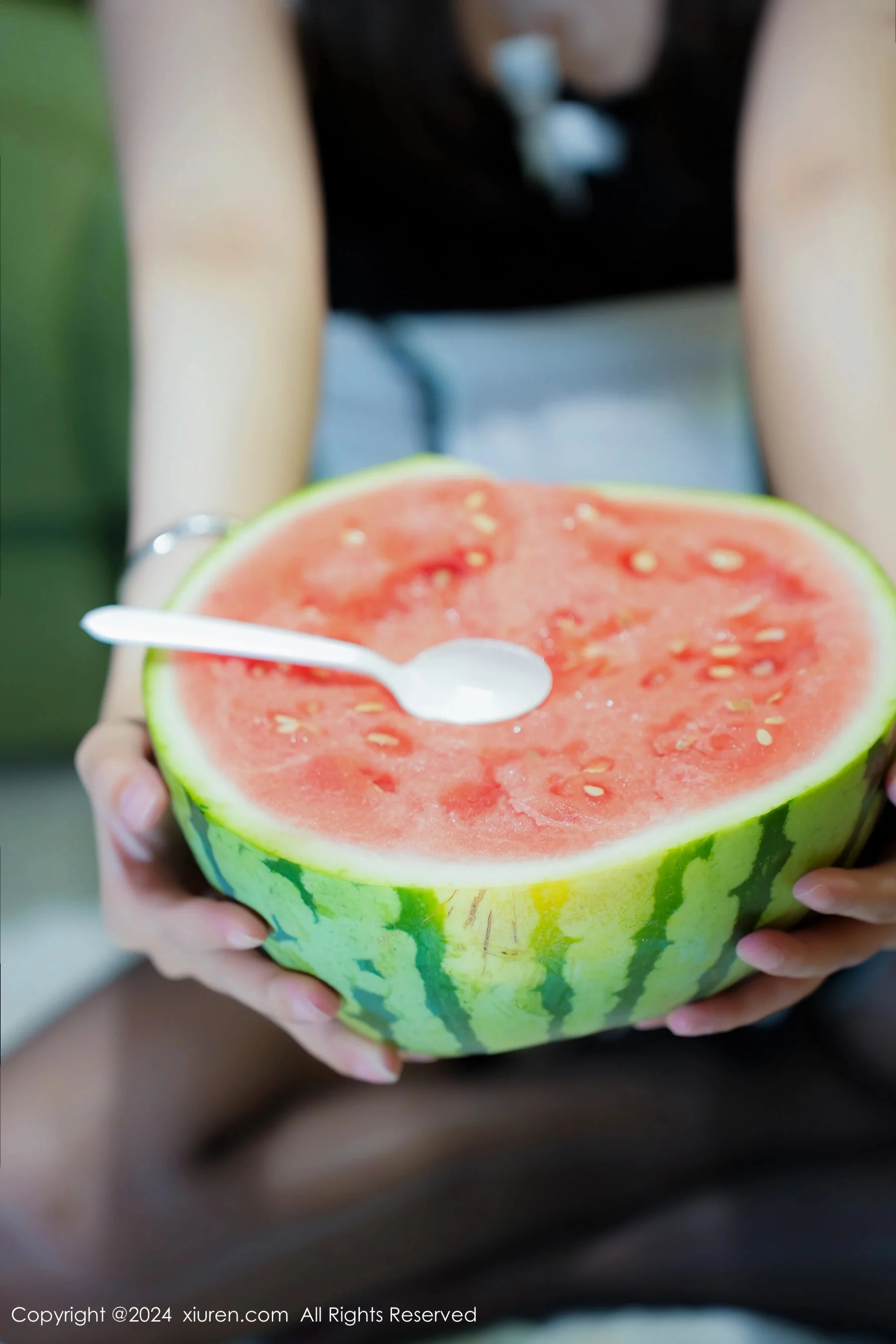 小波多 - Photo 12