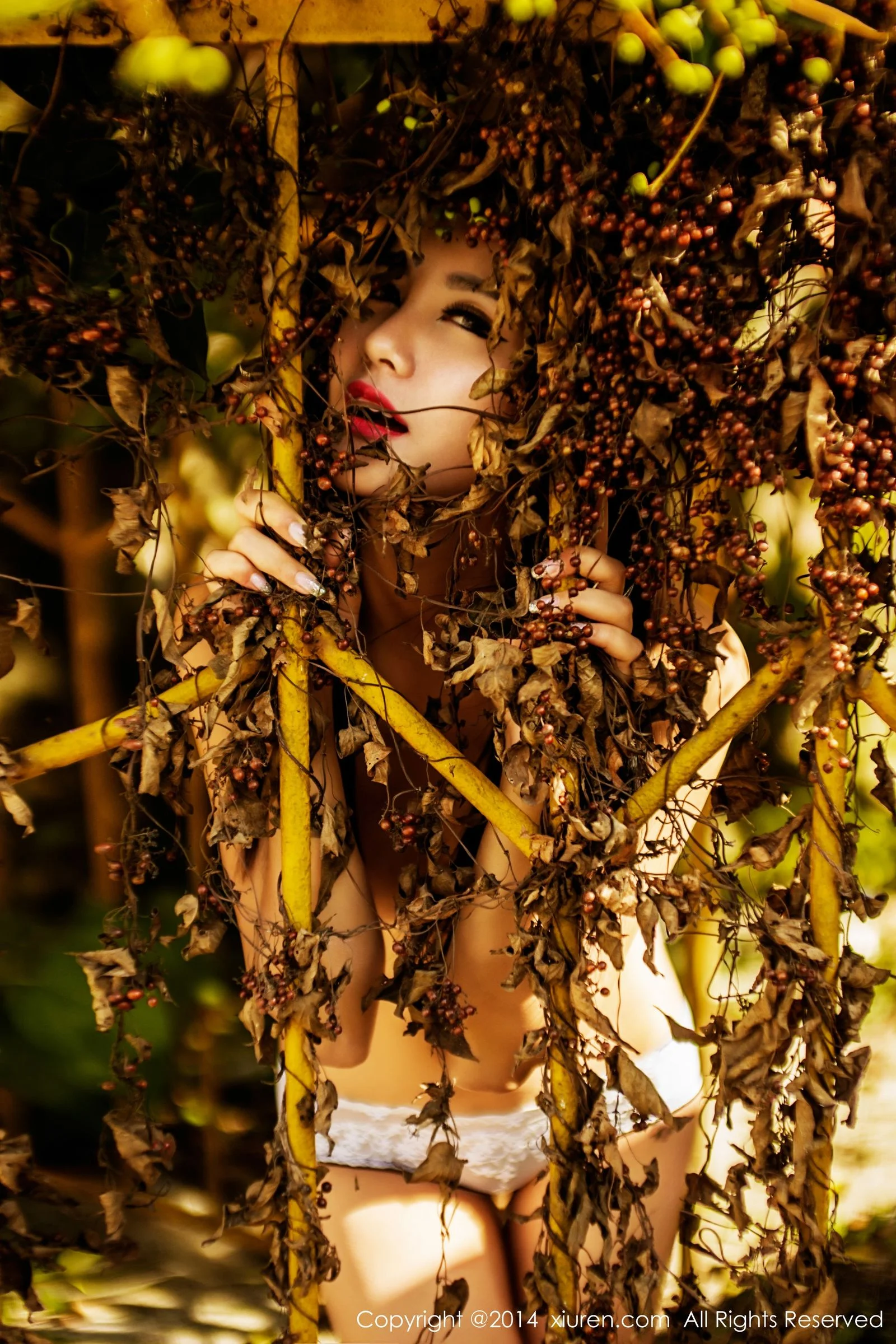 刘薇拉 - Photo 17