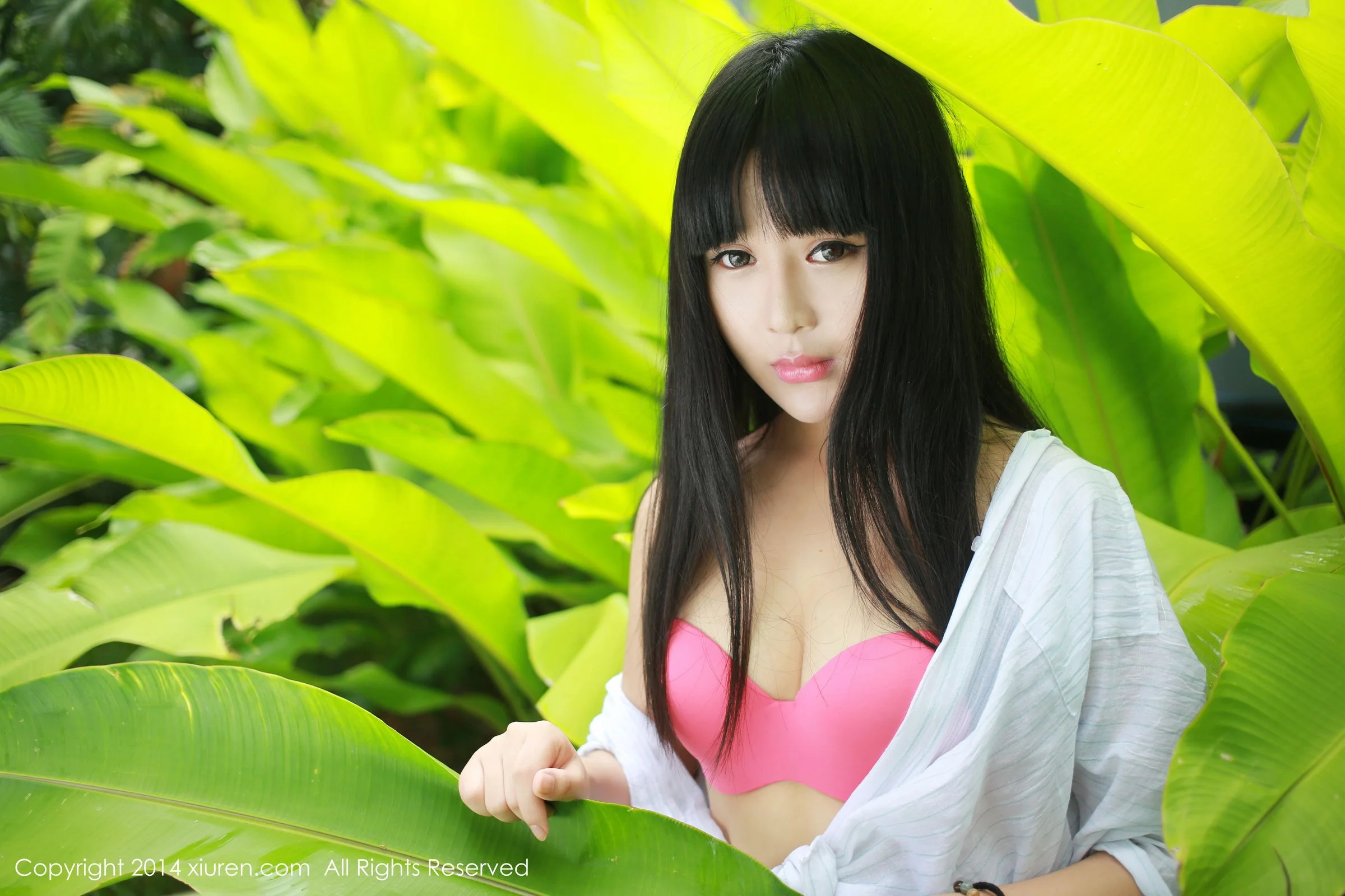 八宝icey - Photo 9