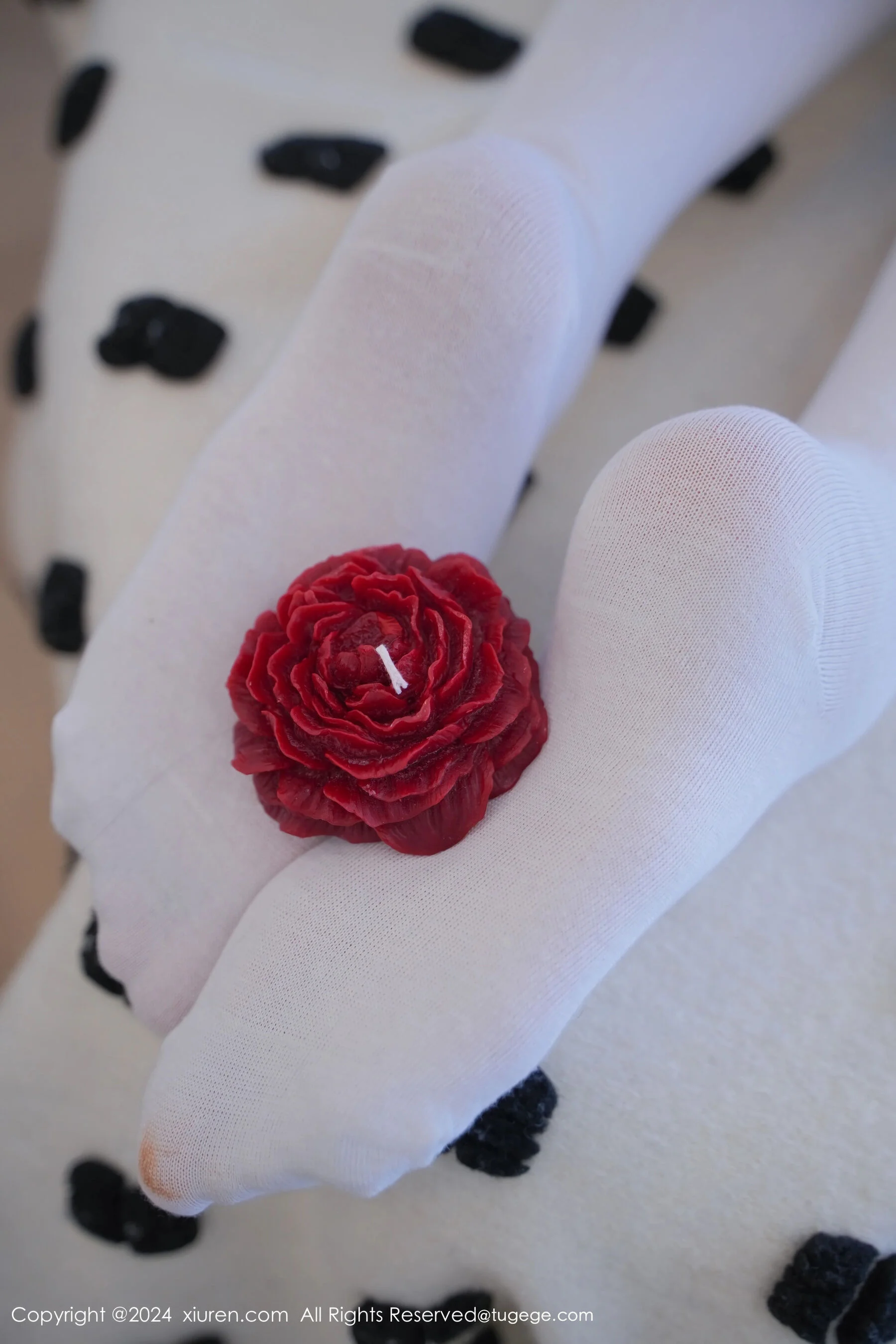 晚苏susu - Photo 15