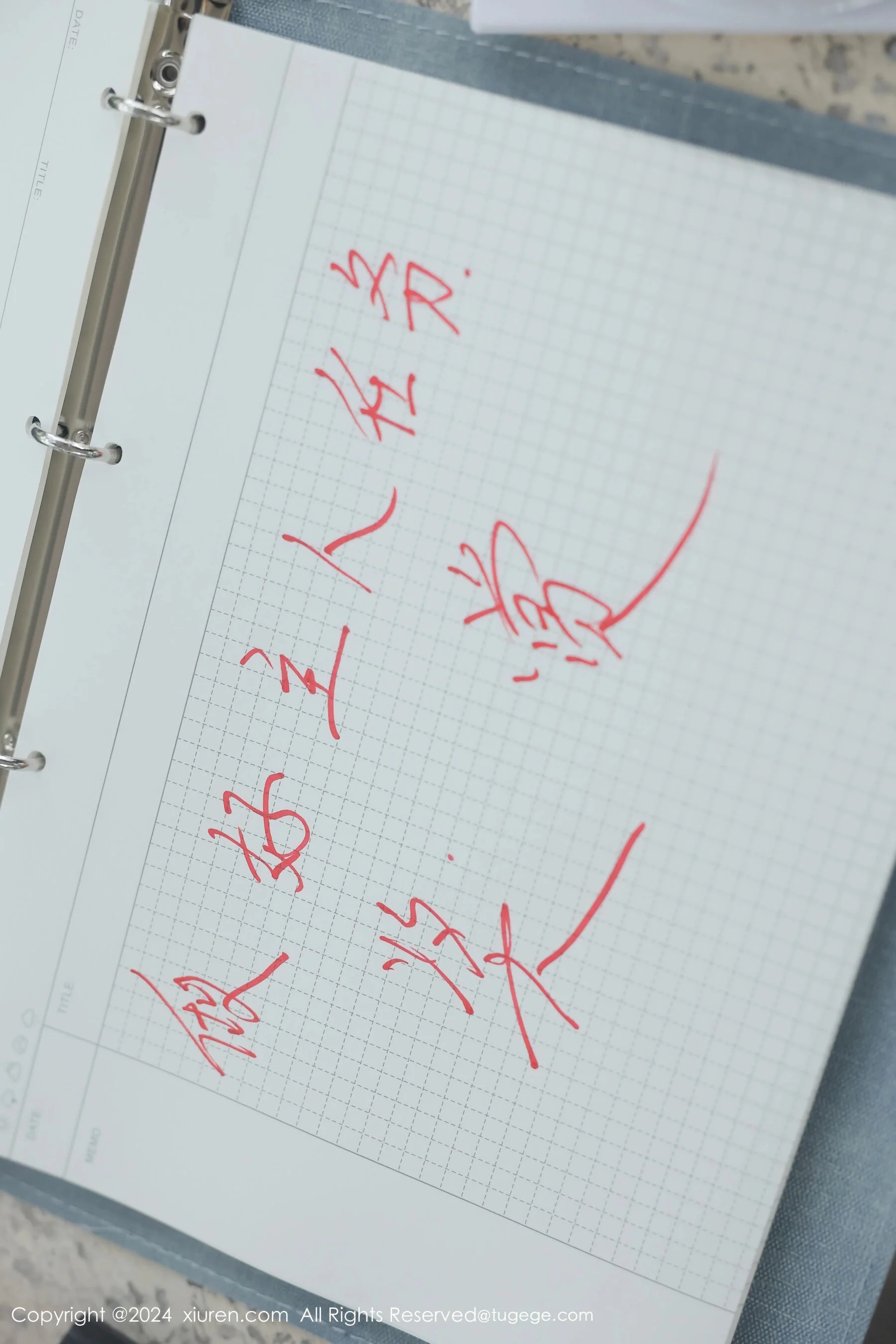 小薯条nienie - Photo 60