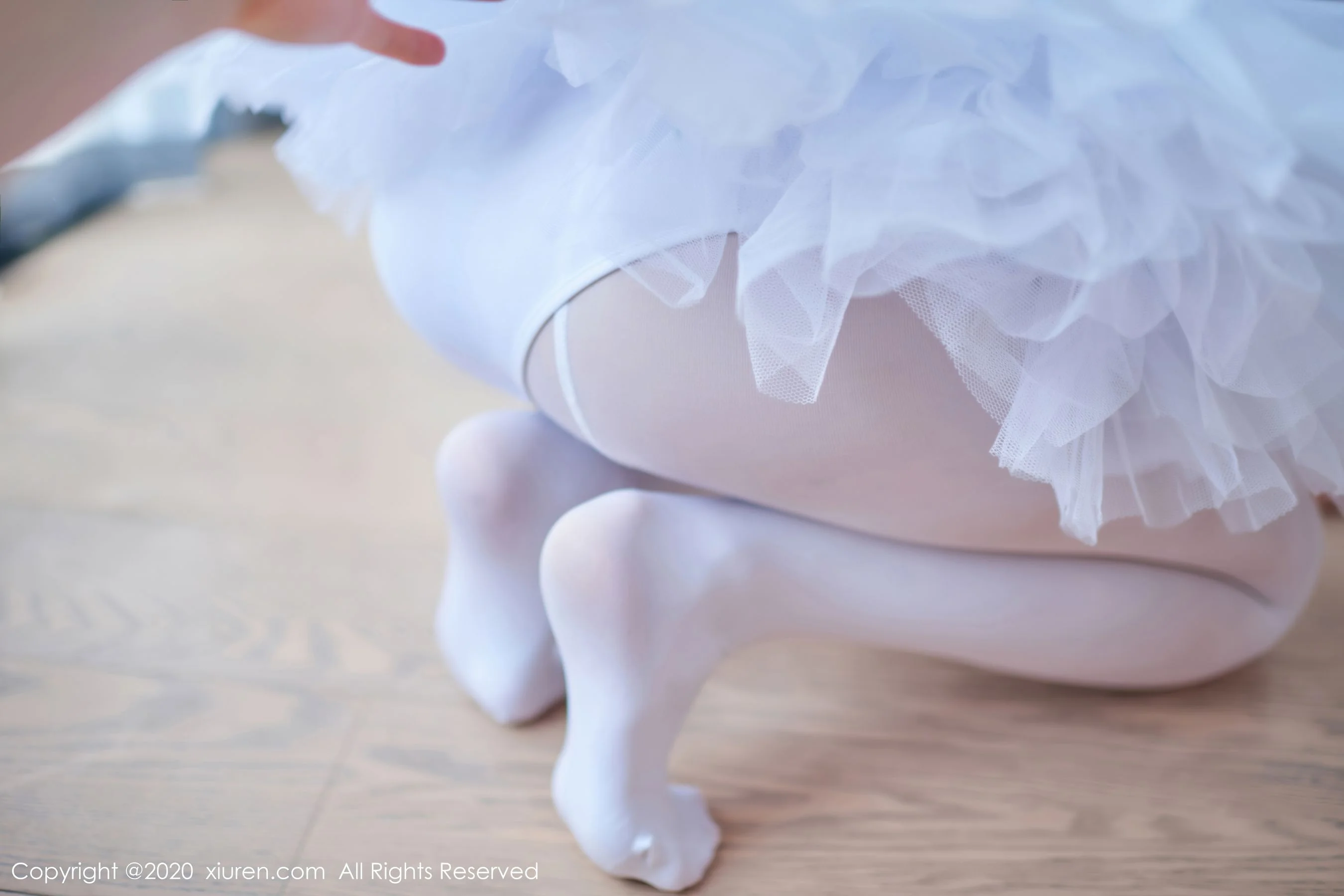 白露小猪 - Photo 25