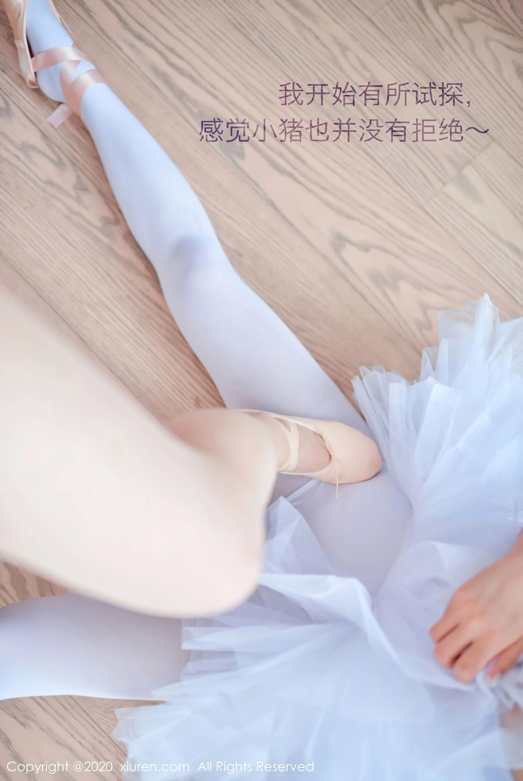 白露小猪 - Photo 40