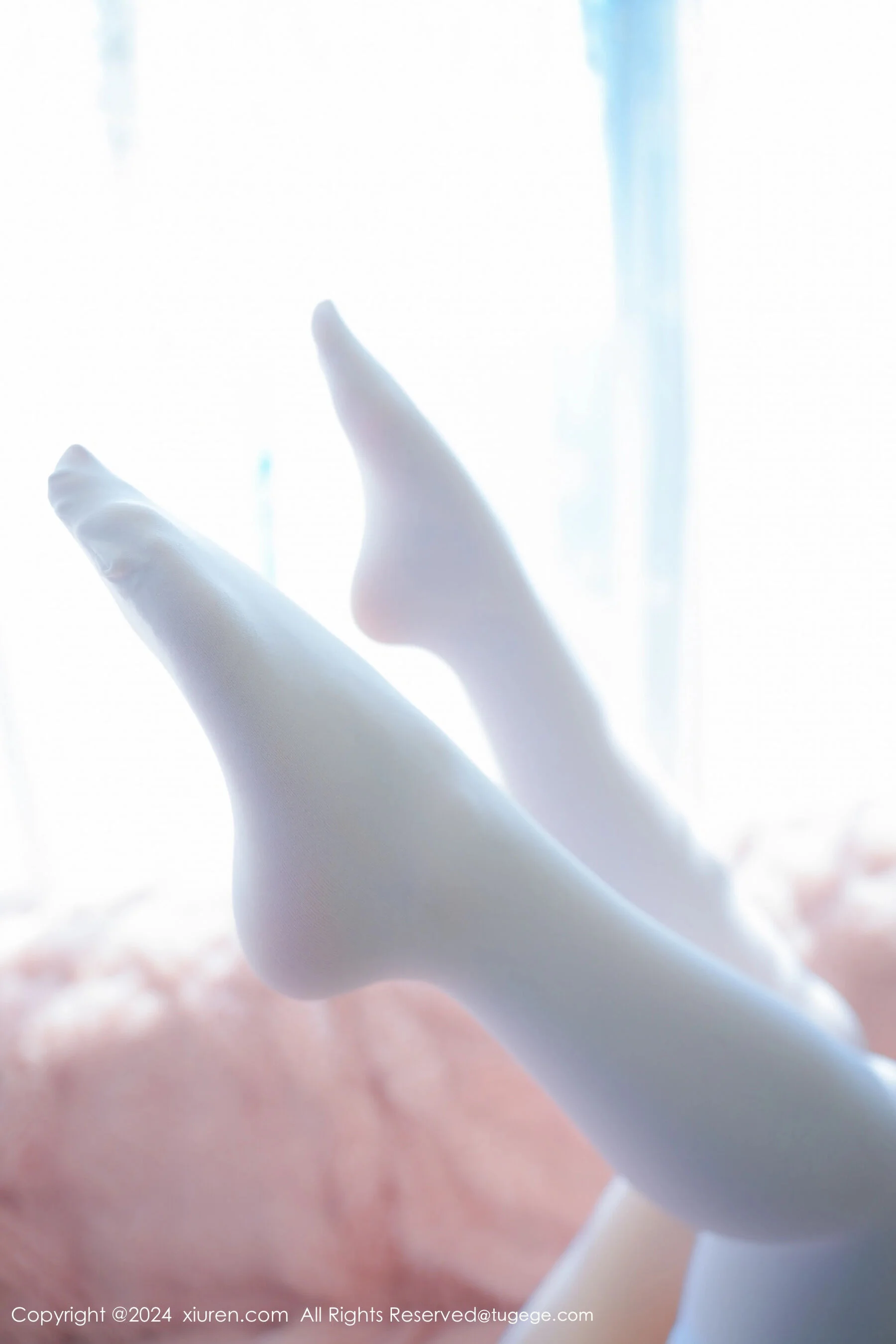 小波多 - Photo 37