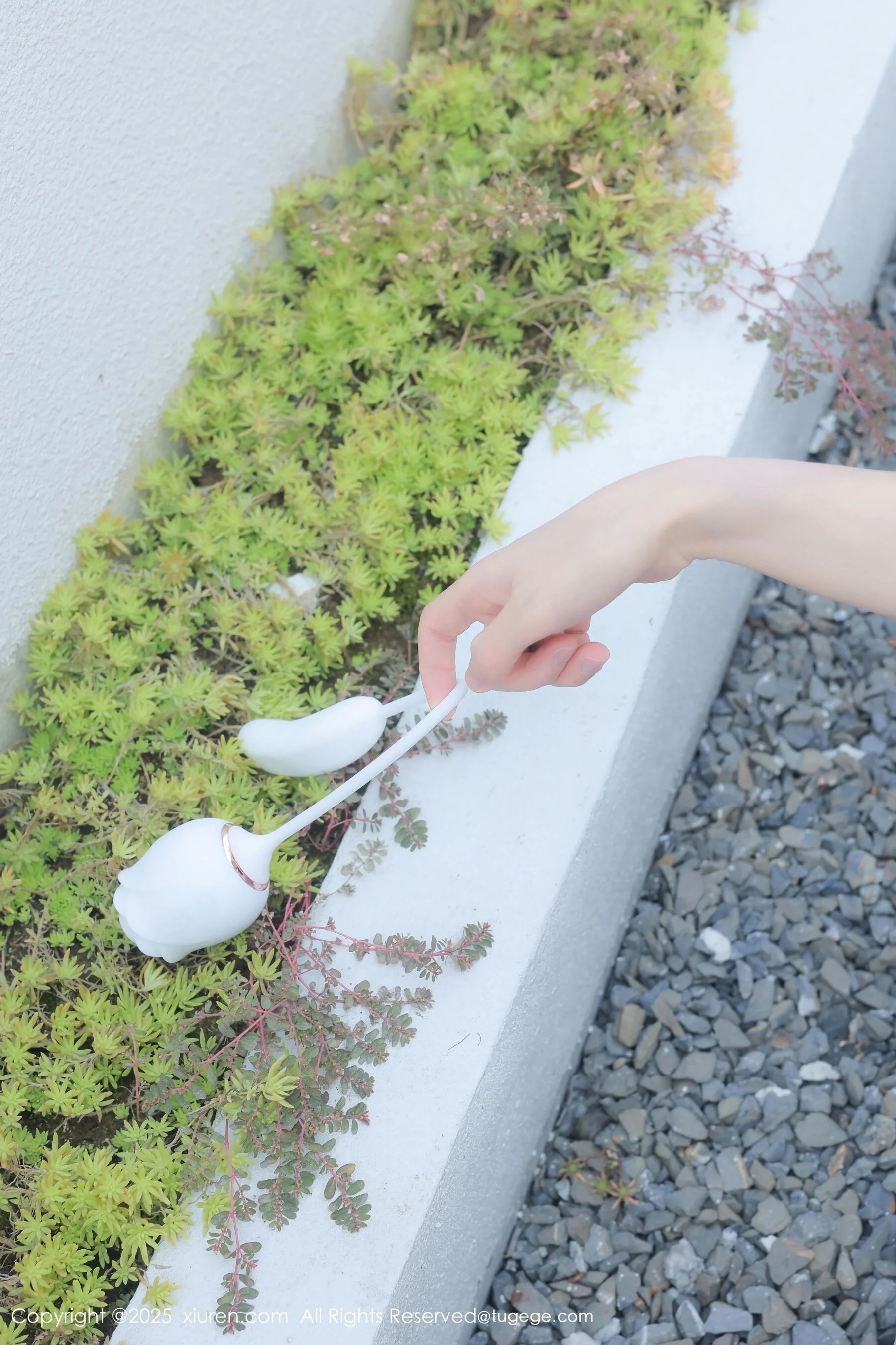 桃妖夭 - Photo 21