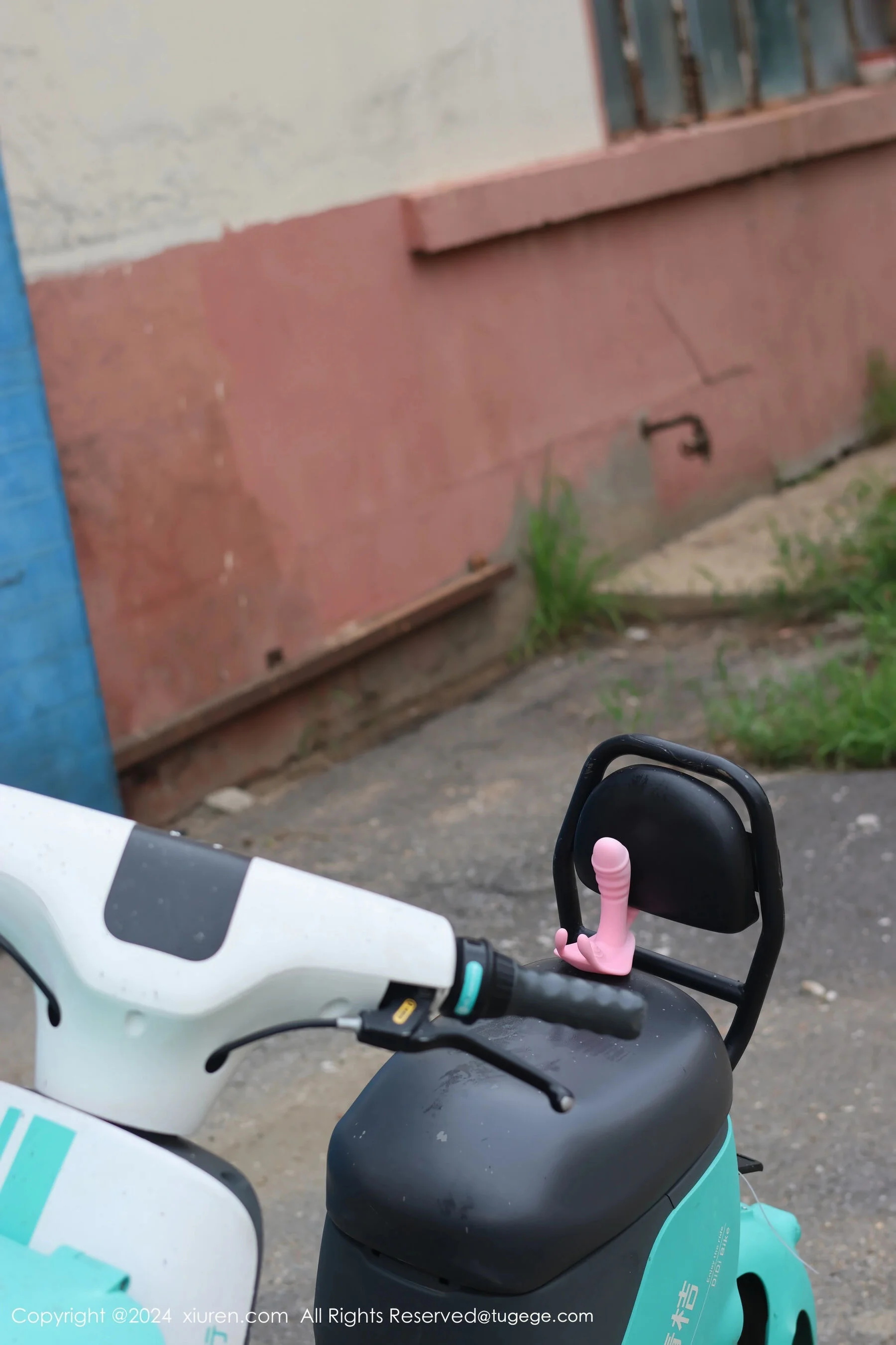 小薯条nienie - Photo 2