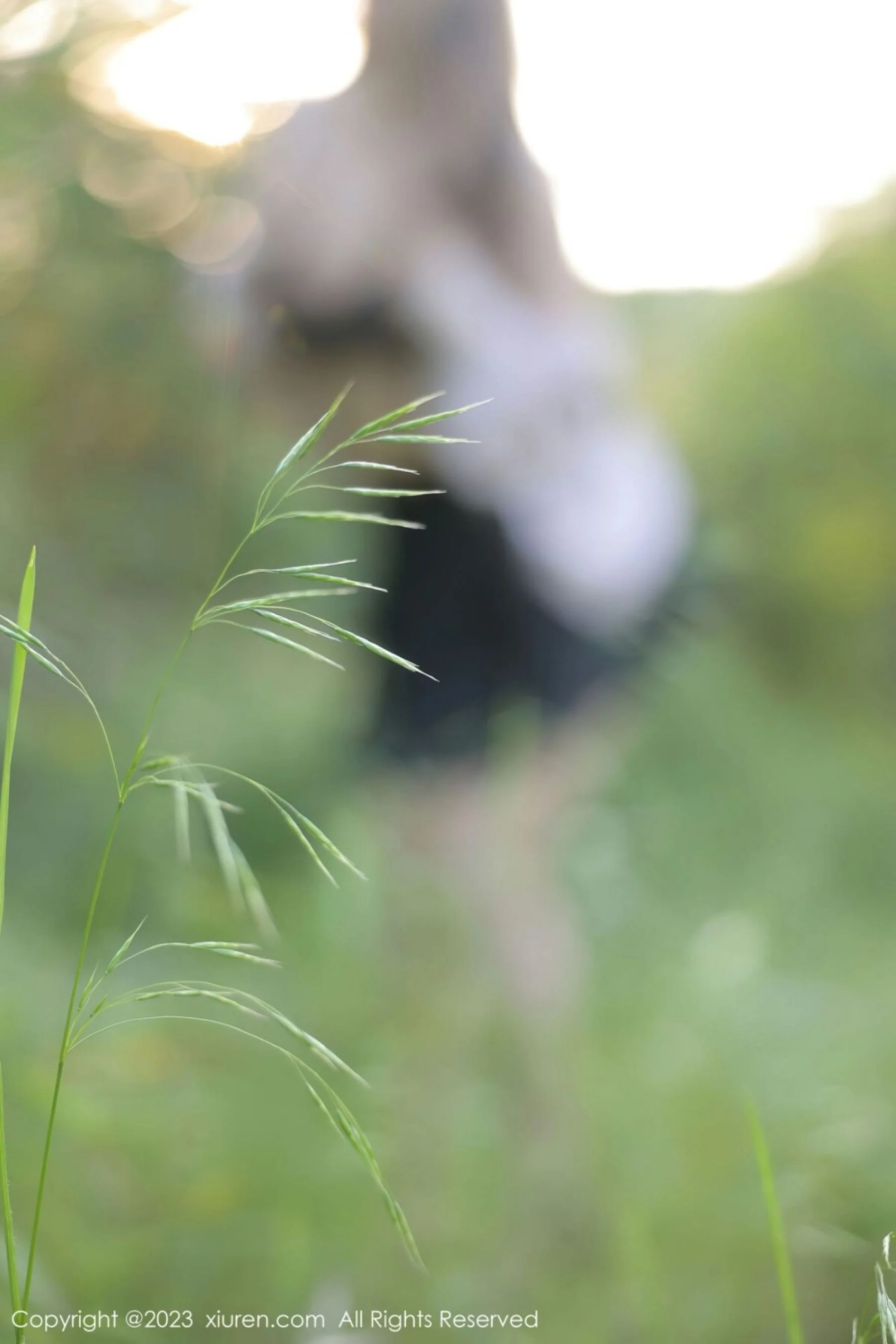 江真真 - Photo 32