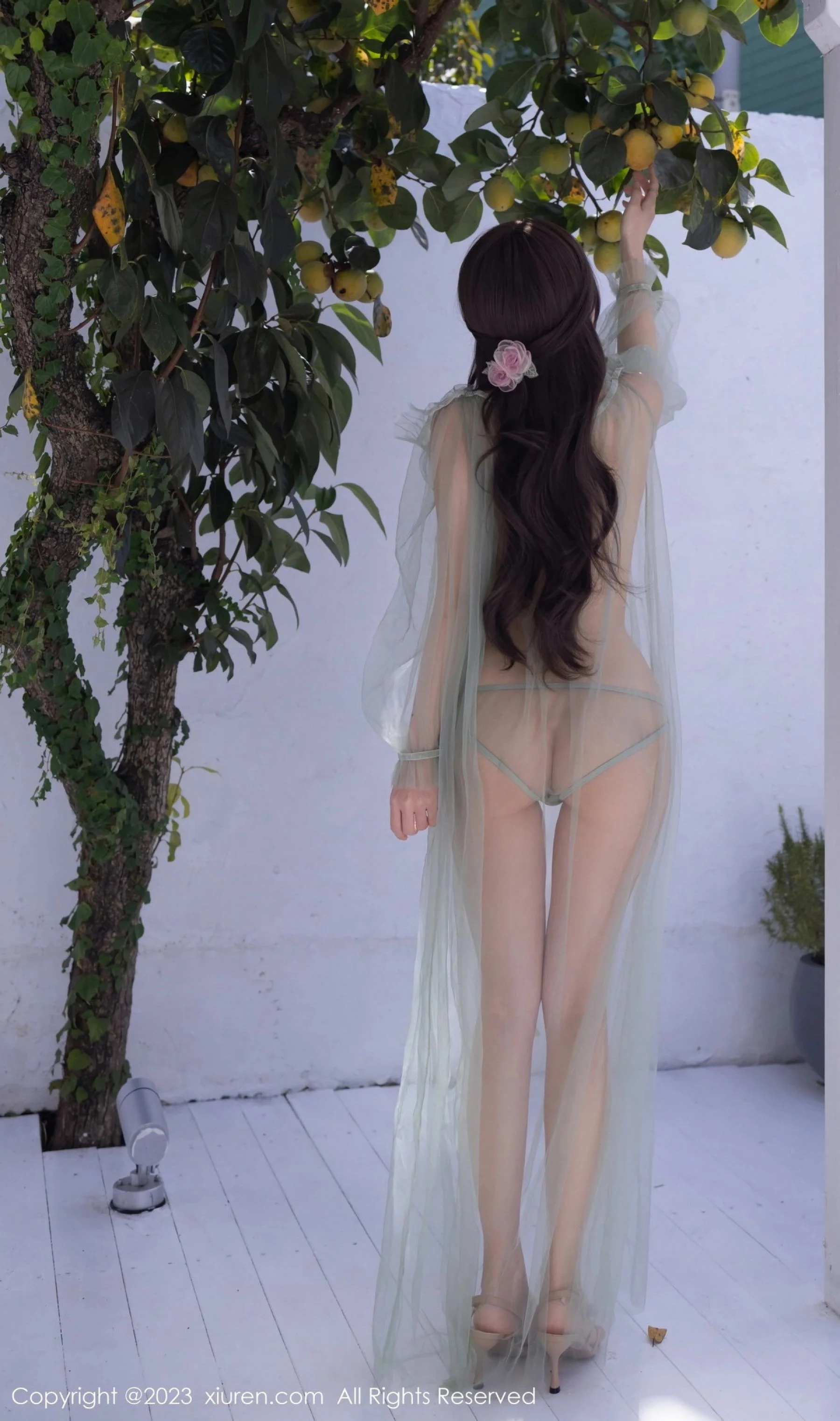 鱼子酱Fish - Photo 2