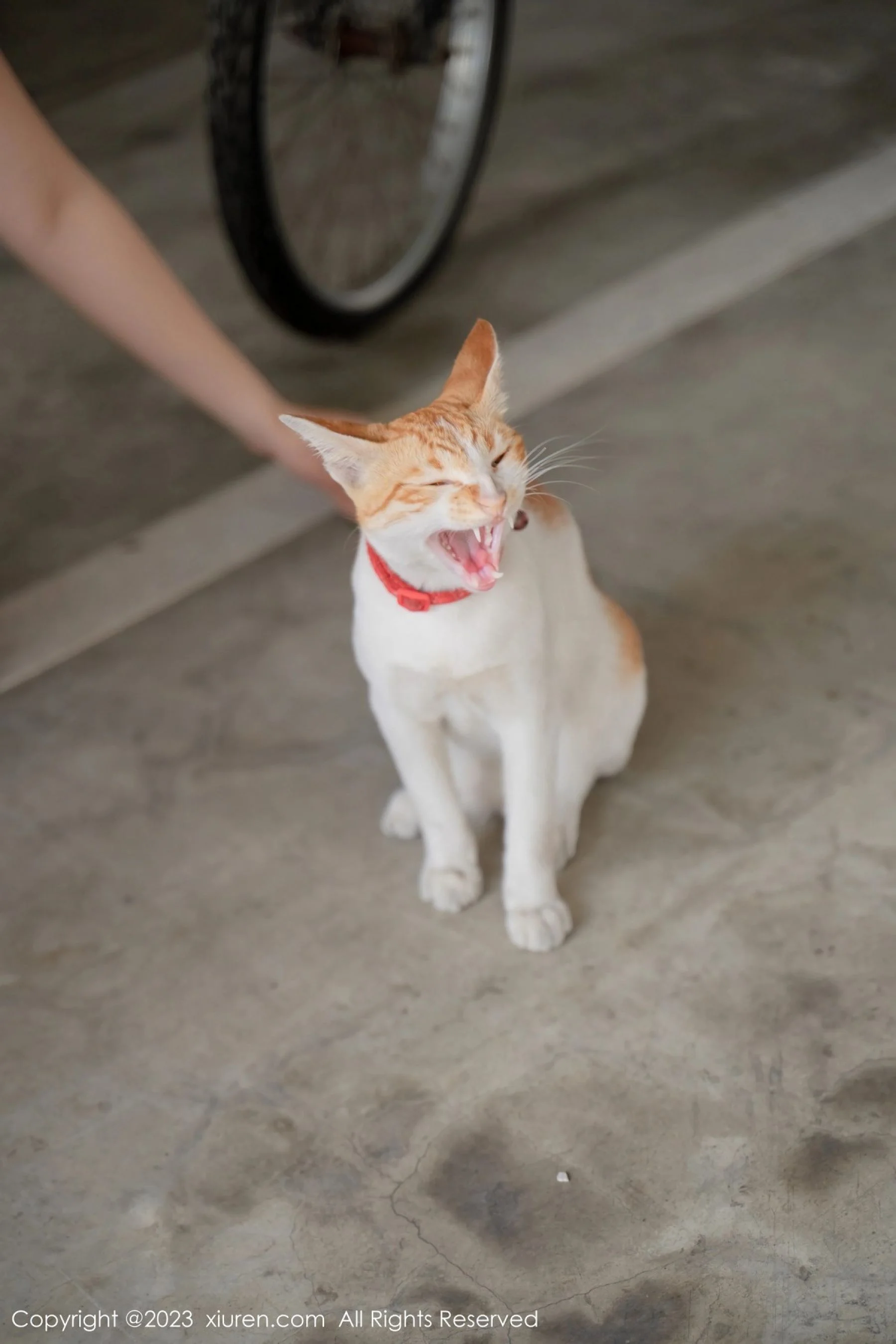 艾希儿 - Photo 24