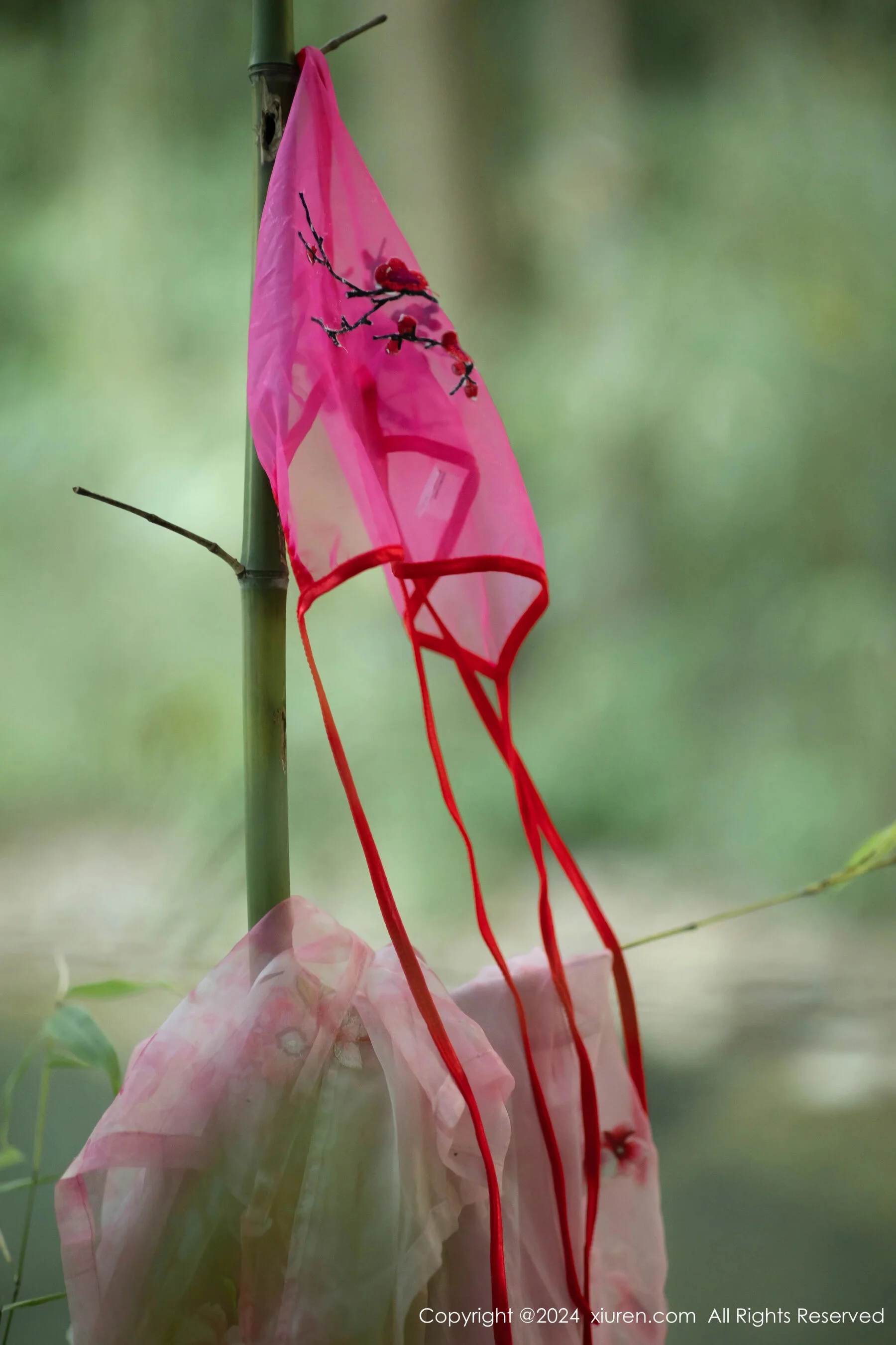 诗诗kiki - Photo 53