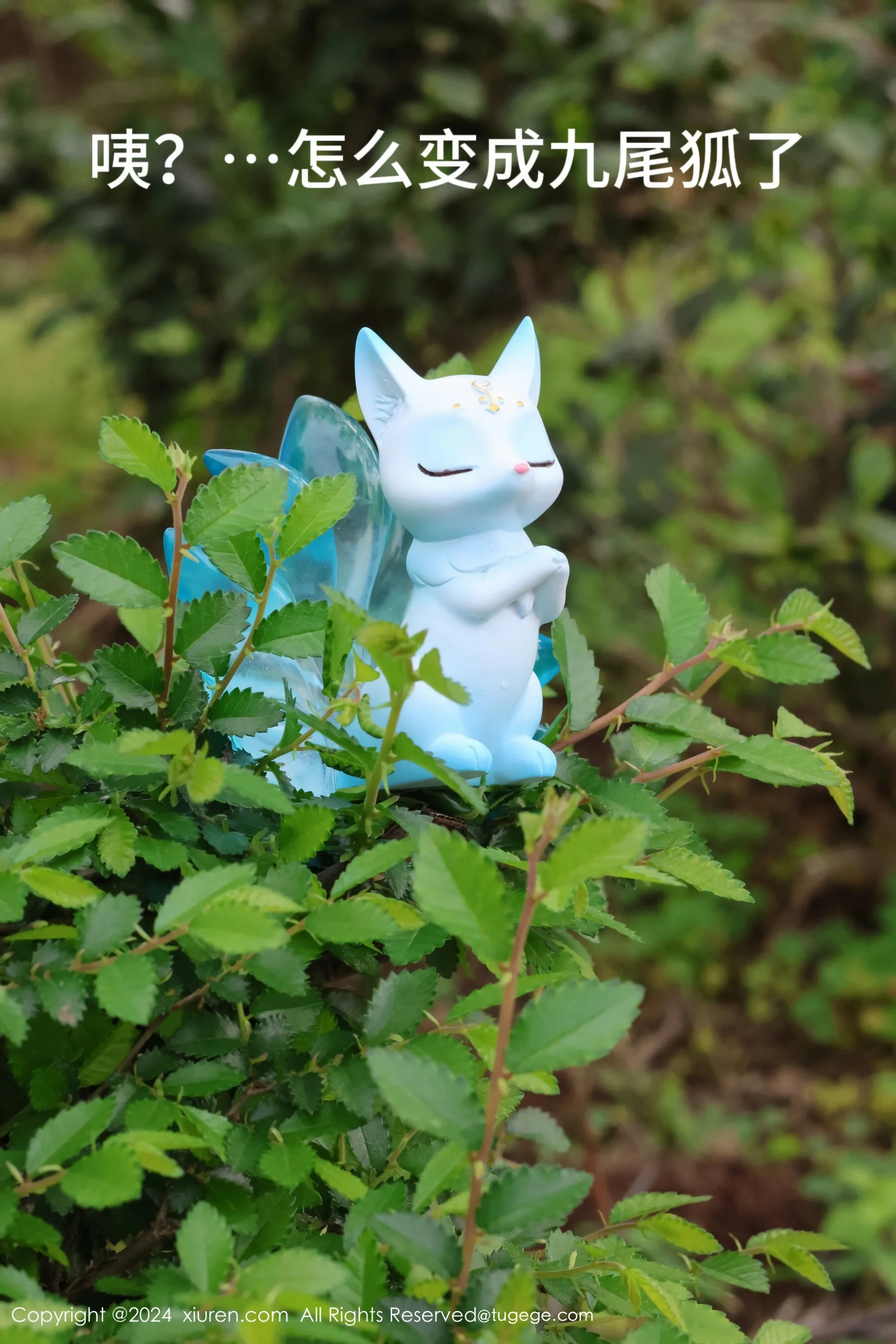 小薯条nienie - Photo 32