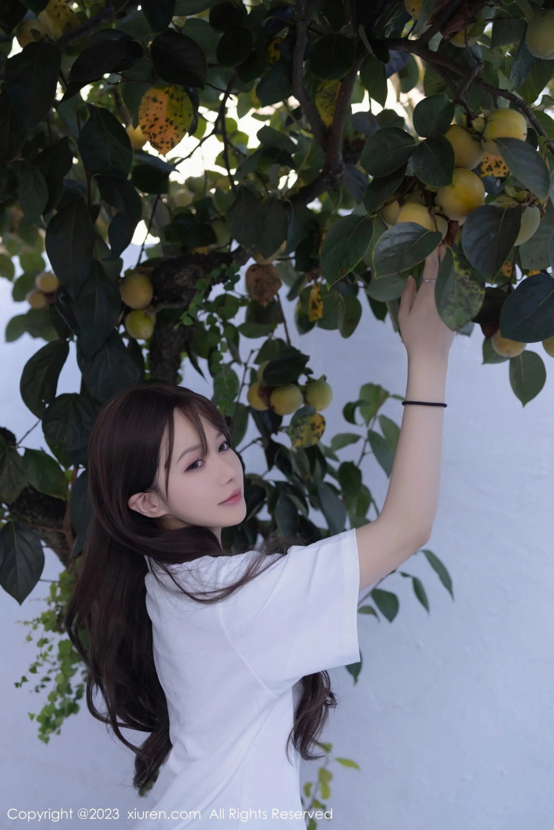 鱼子酱Fish - Photo 20