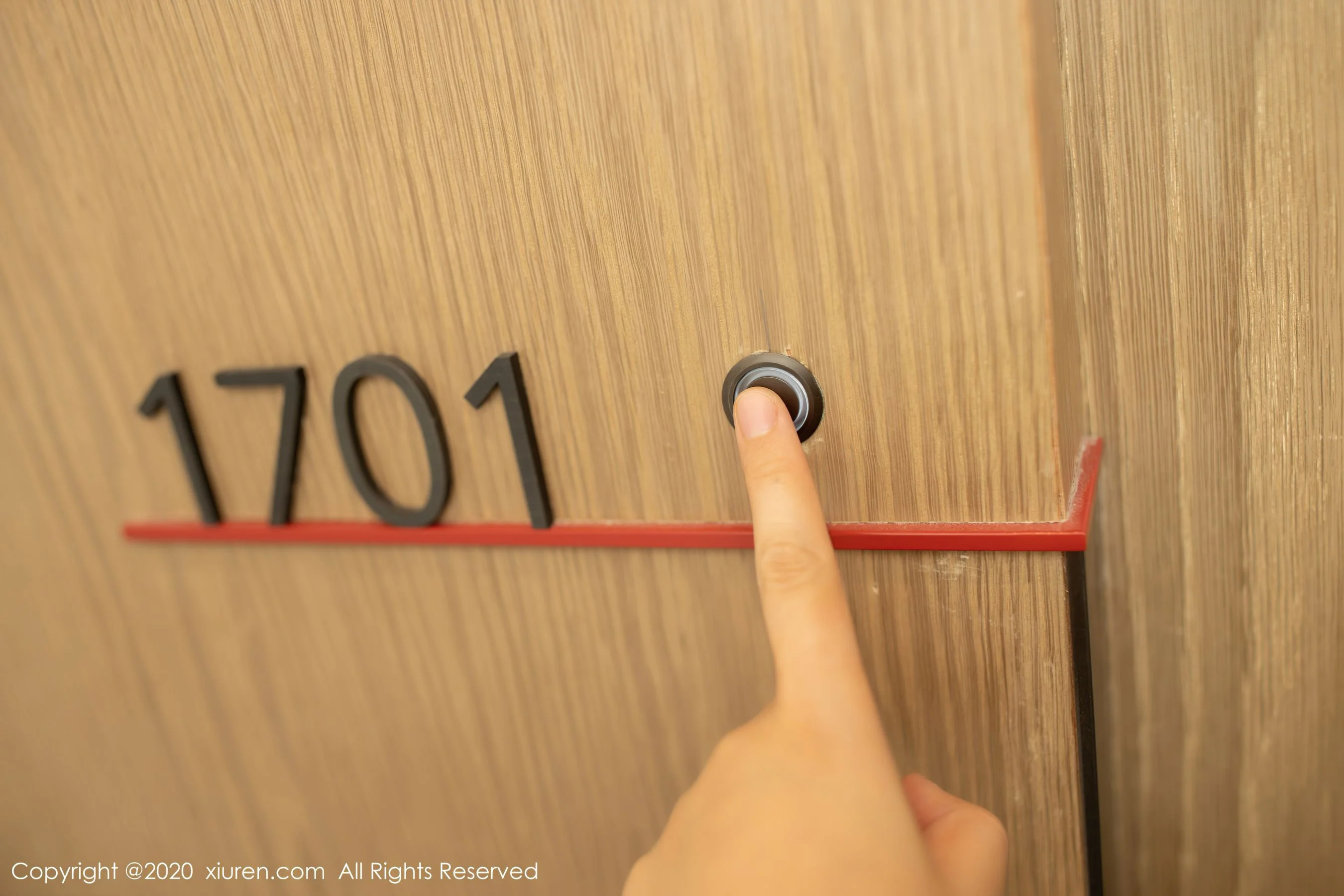 陆萱萱 - Photo 13