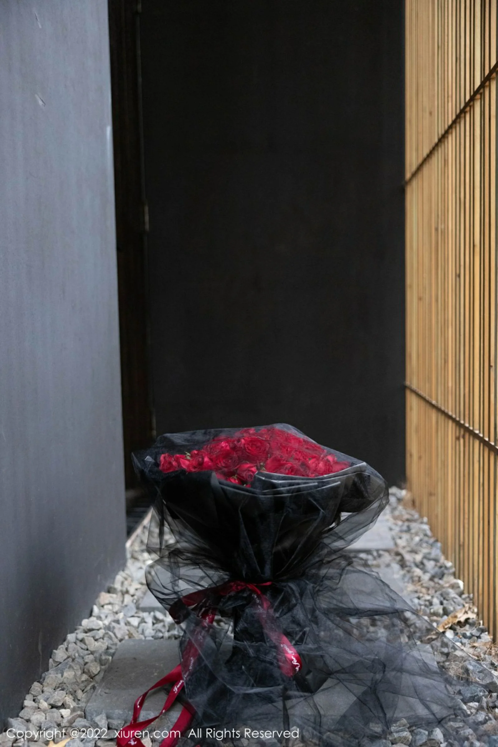 绮里嘉ula - Photo 3