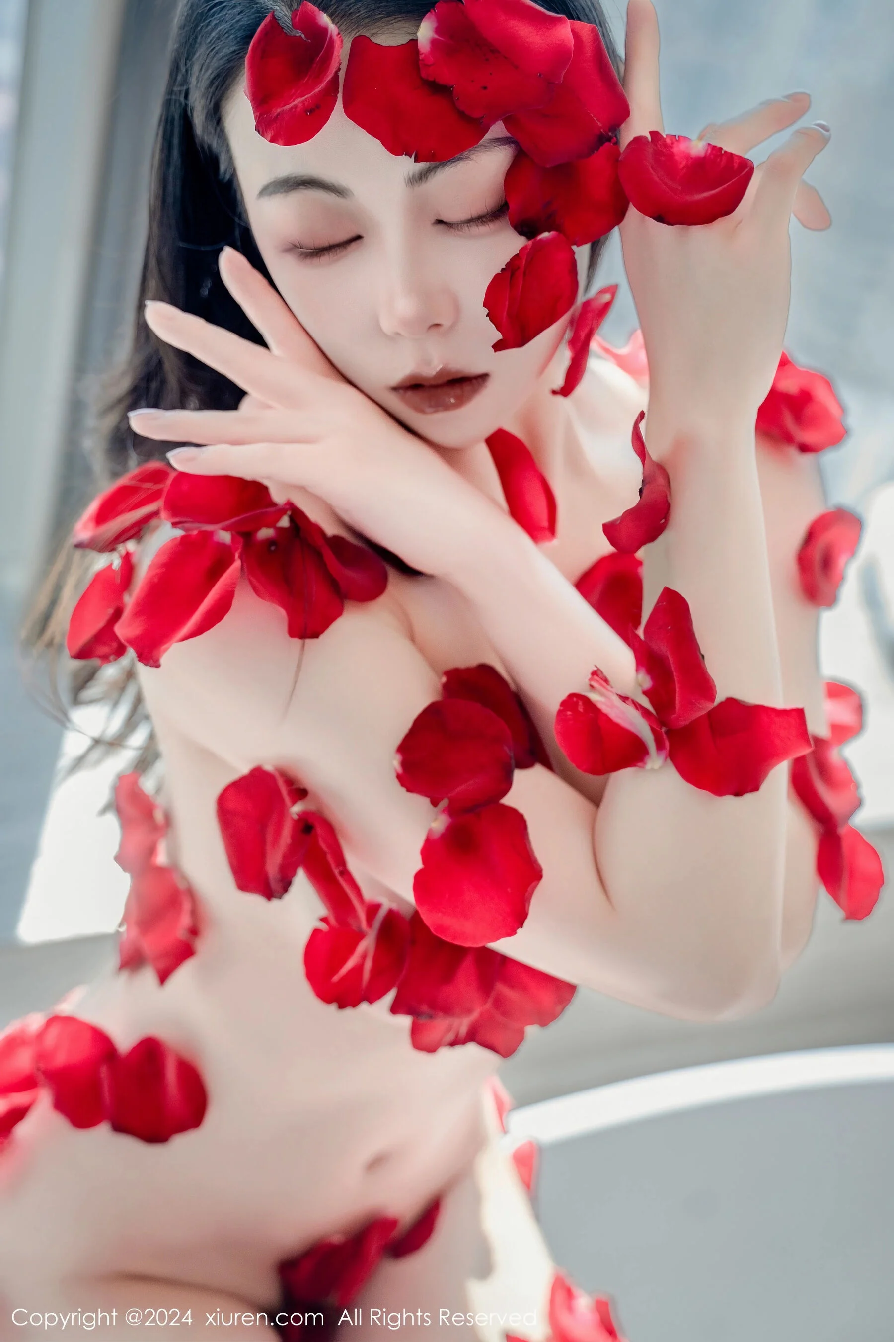 瑜伽猫 - Photo 27