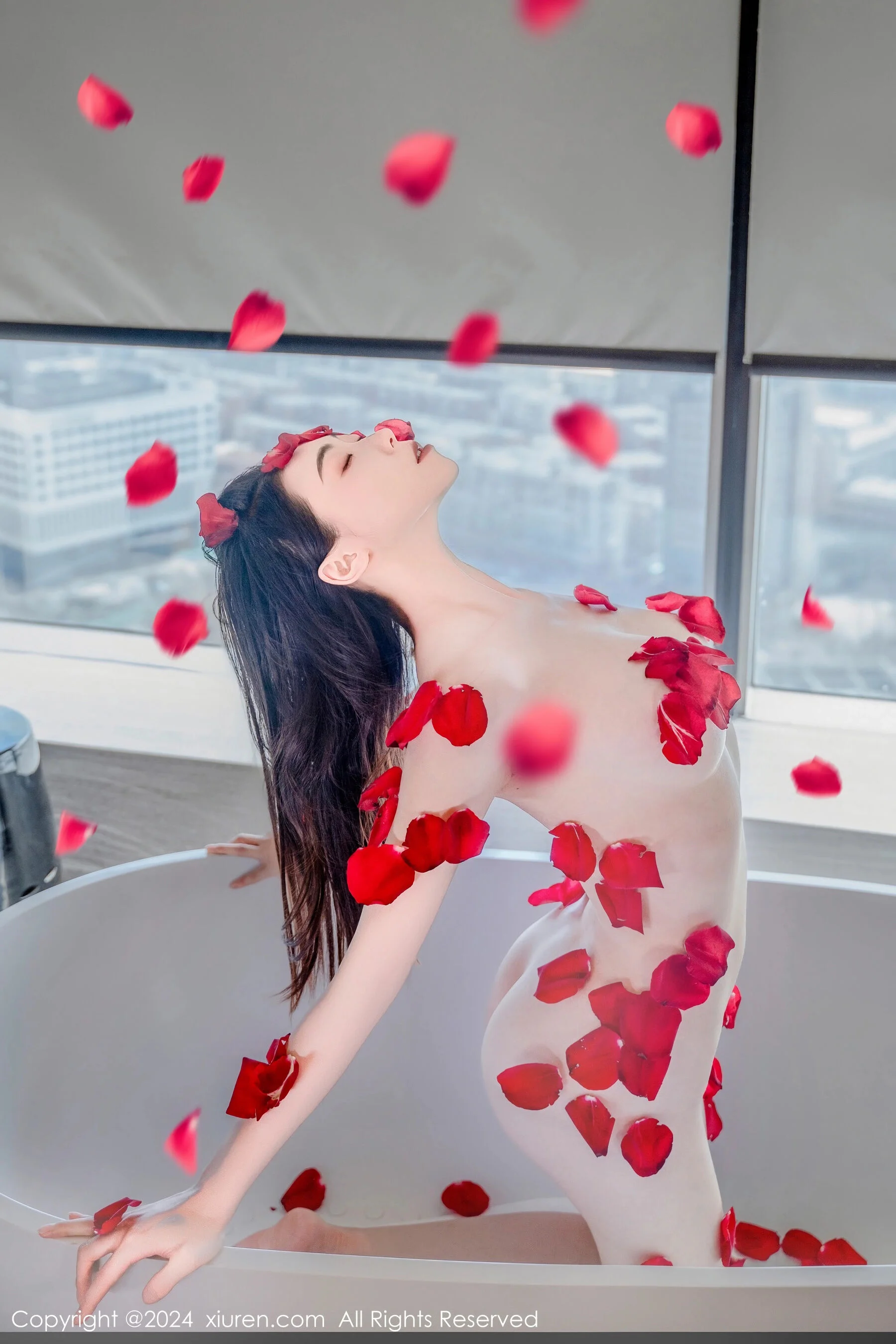 瑜伽猫 - Photo 63