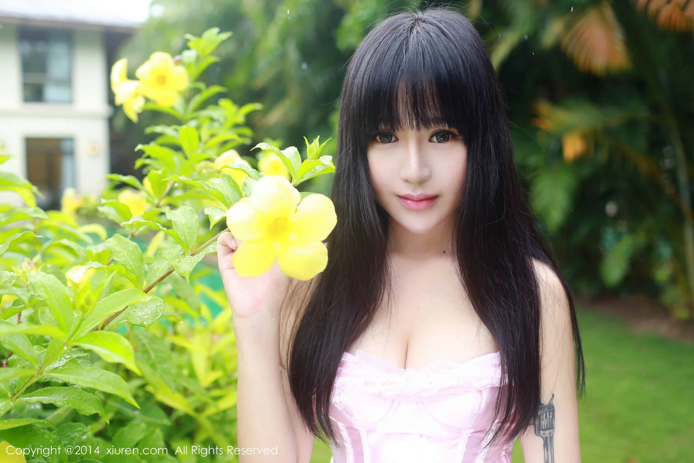 八宝icey - Photo 31