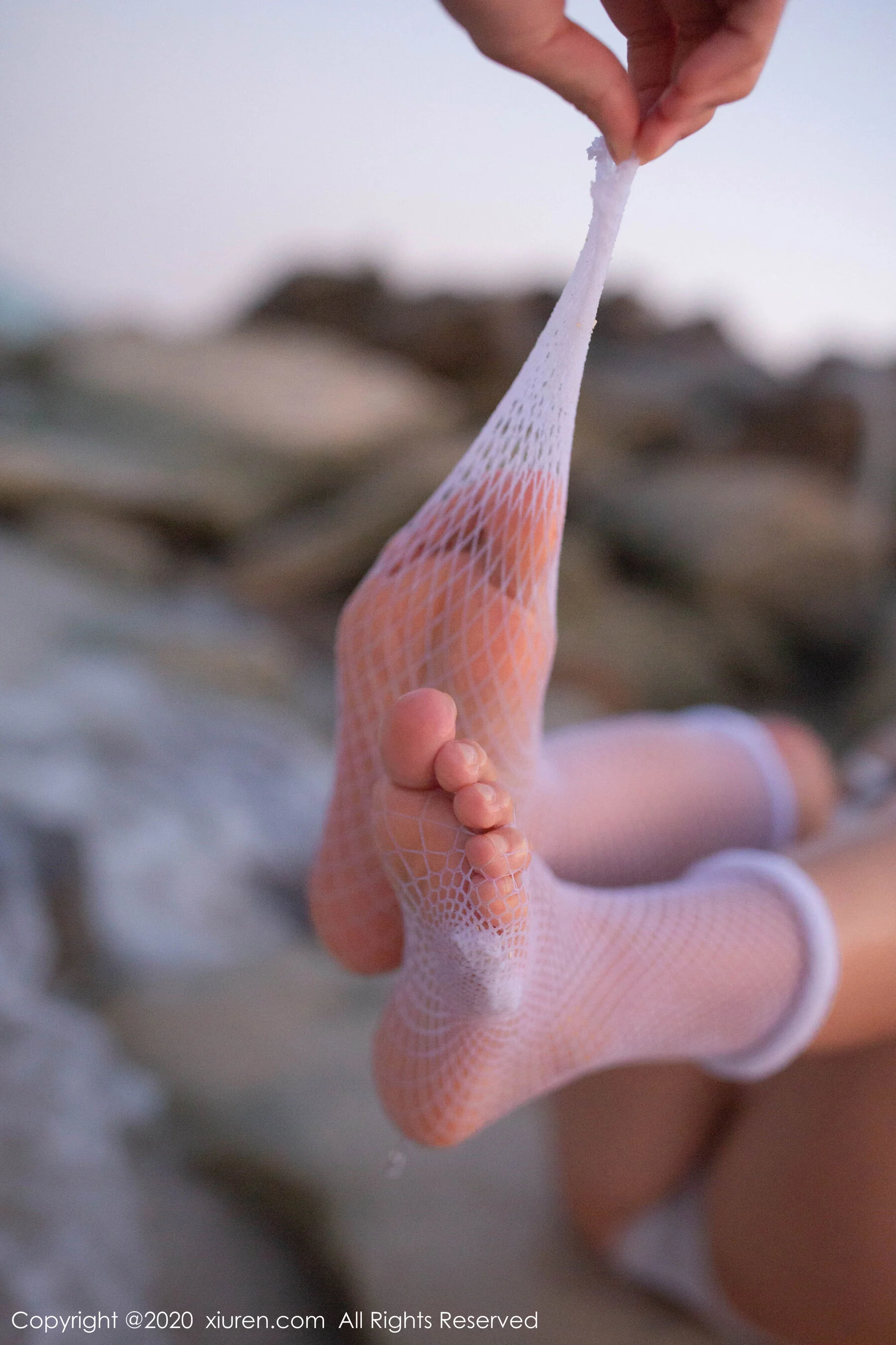 陶喜乐 - Photo 60