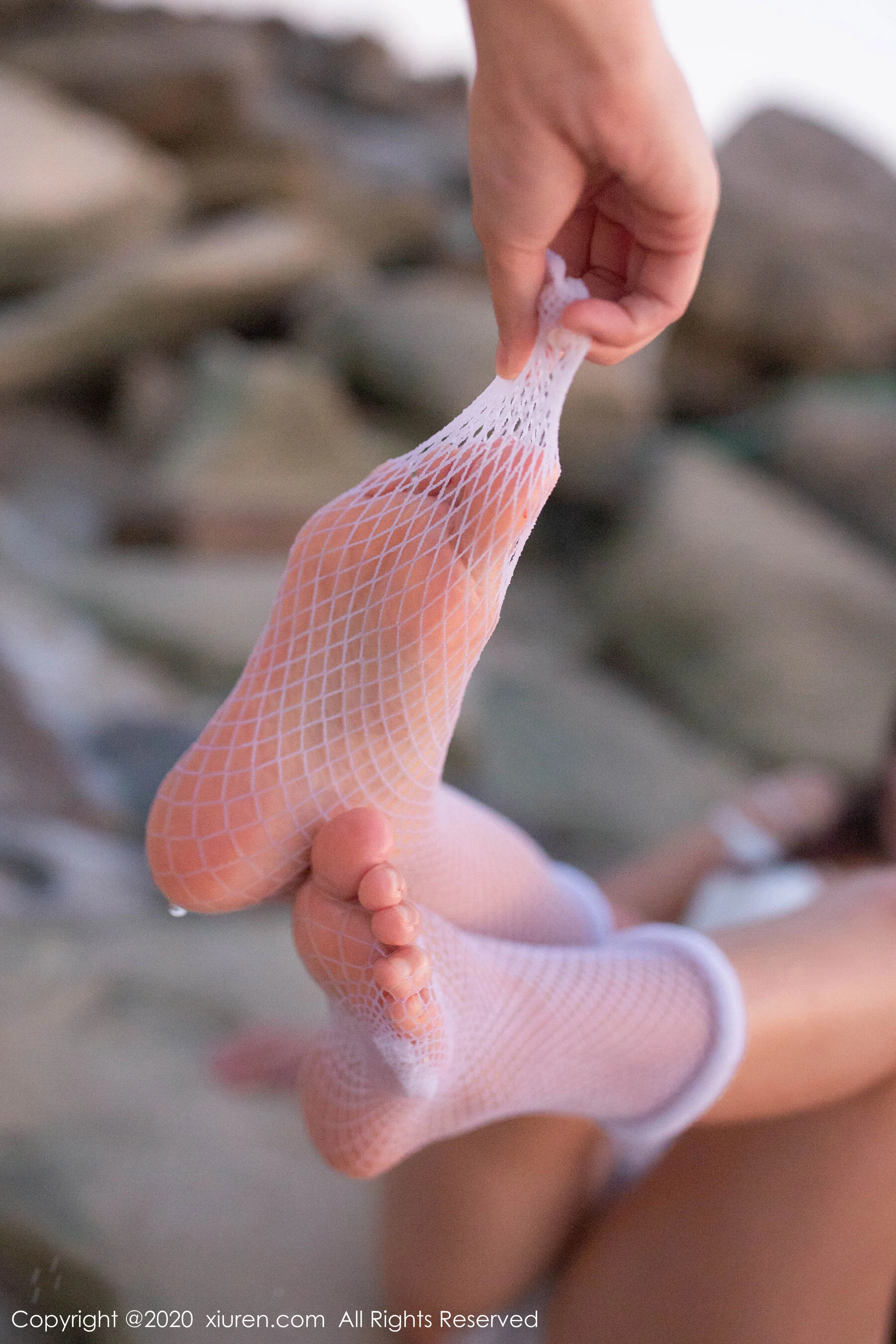 陶喜乐 - Photo 61