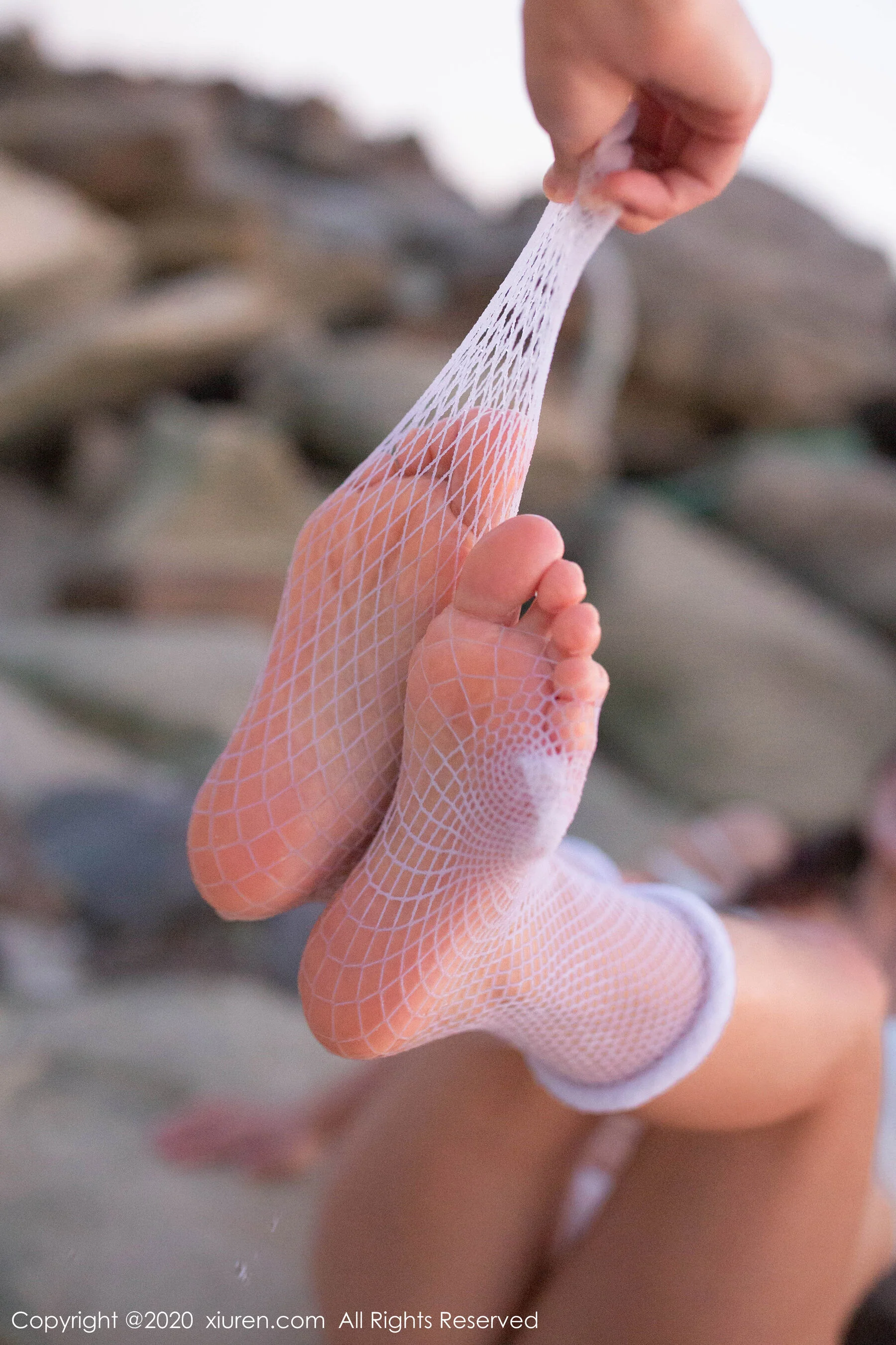 陶喜乐 - Photo 62