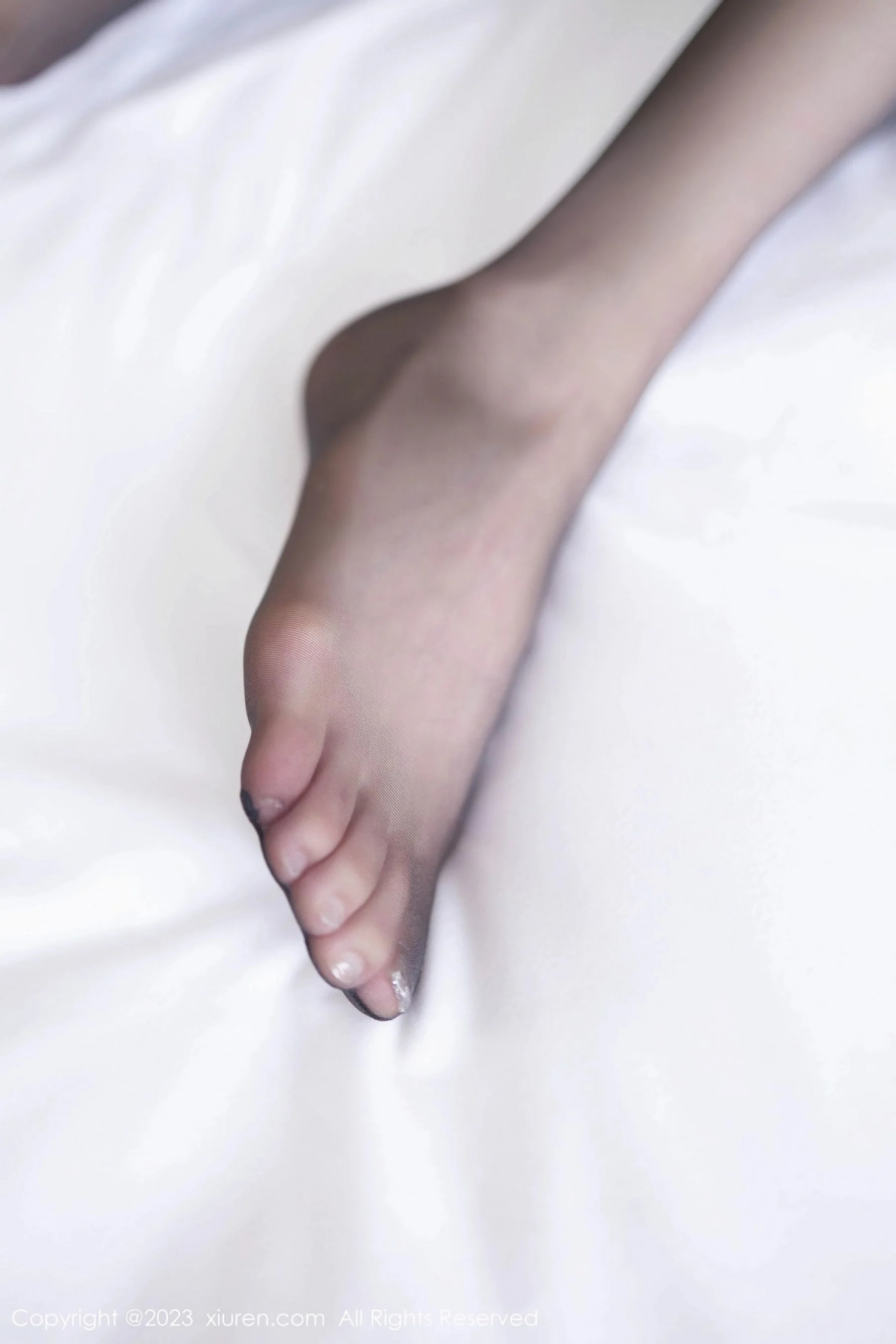 程程程- - Photo 47