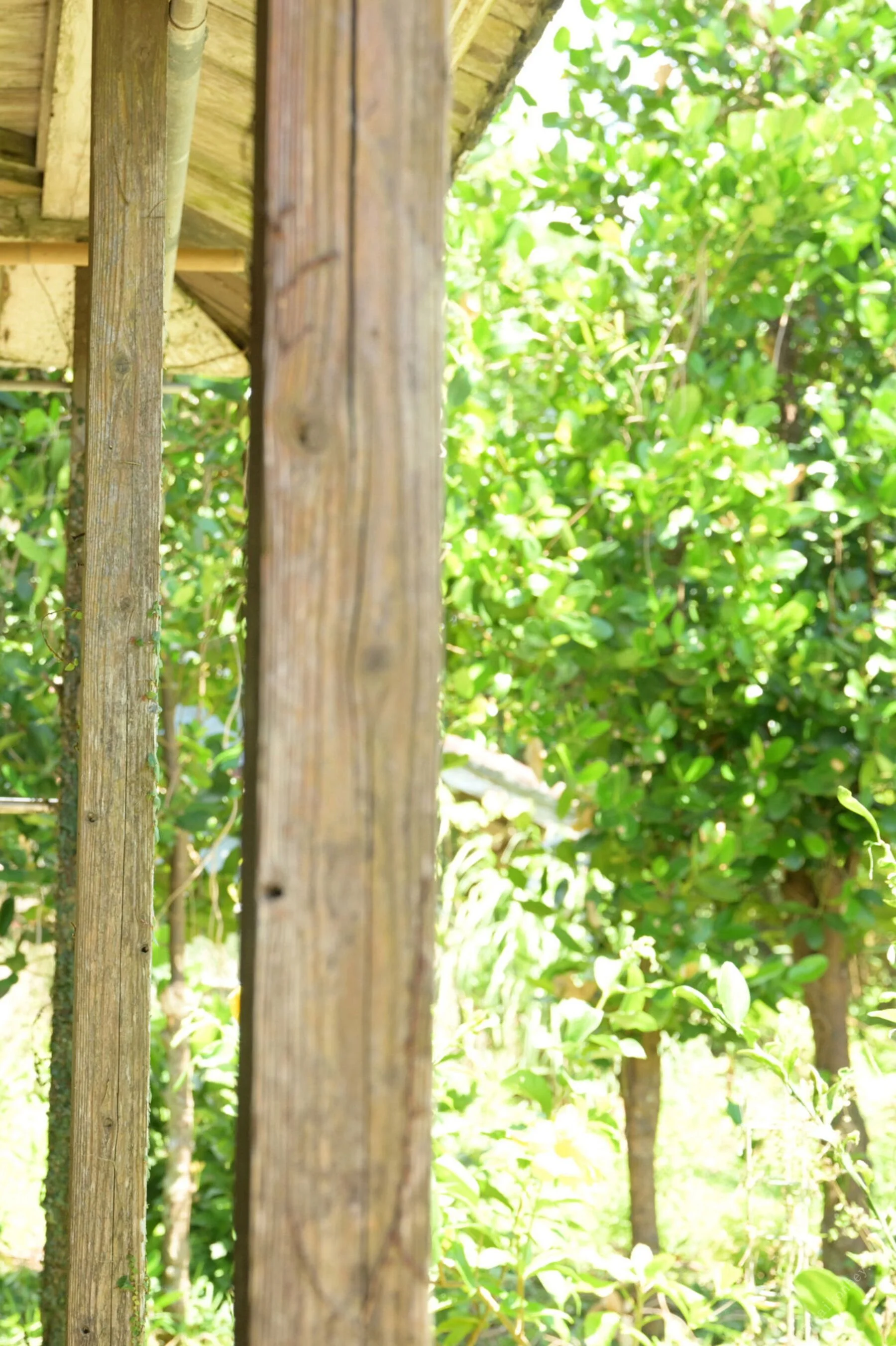 miru《ミルみるく Vol.2》 - Photo 2